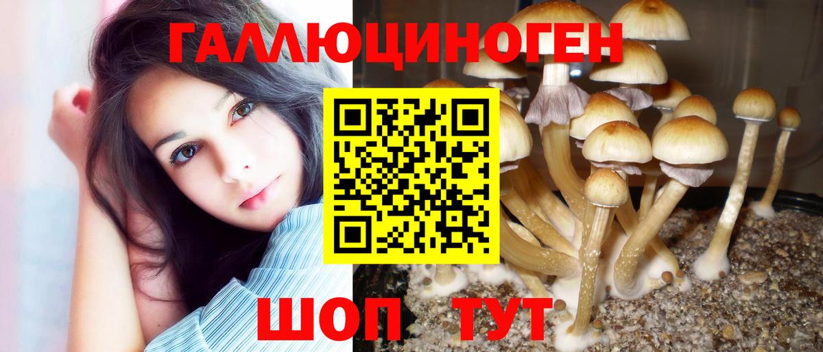 Скопин  купить закладку  Псилоцибиновые грибы GOLDEN TEACHER  Вход с VPN  Галлюциногенные грибы GOLDEN TEACHER 
